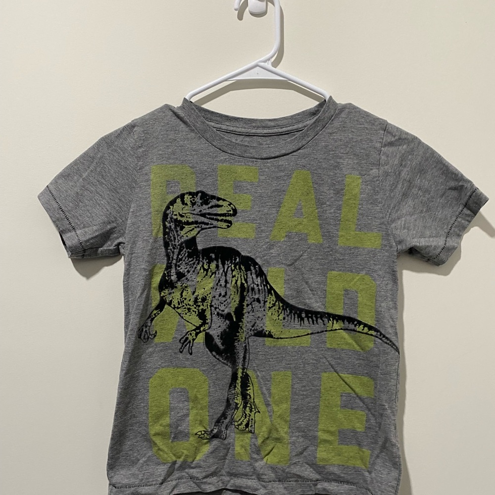 Peek Boy’s Gray Dinosaur Graphic Kids T-Shirt sir 8Y vguc